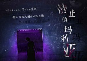 静止的玛利亚剧本杀谁死了凶手是谁之复盘解析-【祉佑超恒商贸有限公司】海豚剧本杀复盘解析-谁是凶手-真相答案-结局