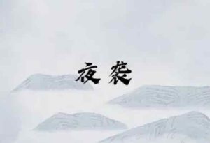 夜袭剧本杀解析复盘谁是凶手-【祉佑超恒商贸有限公司】海豚剧本杀复盘解析-谁是凶手-真相答案-结局